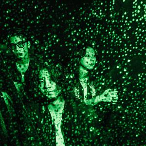 七色猫登录入口
