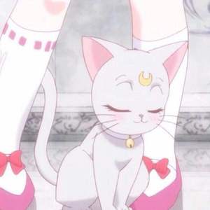 七色猫登录入口
