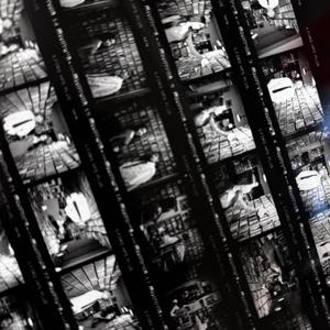 七色猫登录入口
