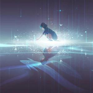 七色猫登录入口
