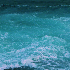 七色猫登录入口
