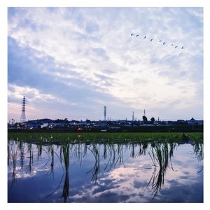 七色猫登录入口
